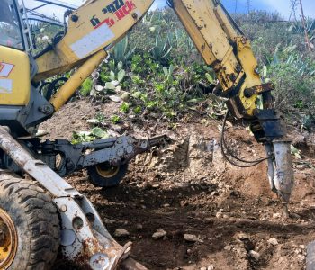 Imagen de WhatsApp 2025-02-08 a las 11.30.36_31a4a33f Imagen de WhatsApp 2025-02-08 a las 11.30.36_31a4a33f