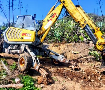 Imagen de WhatsApp 2025-02-08 a las 11.32.21_48dcab66 Imagen de WhatsApp 2025-02-08 a las 11.32.21_48dcab66